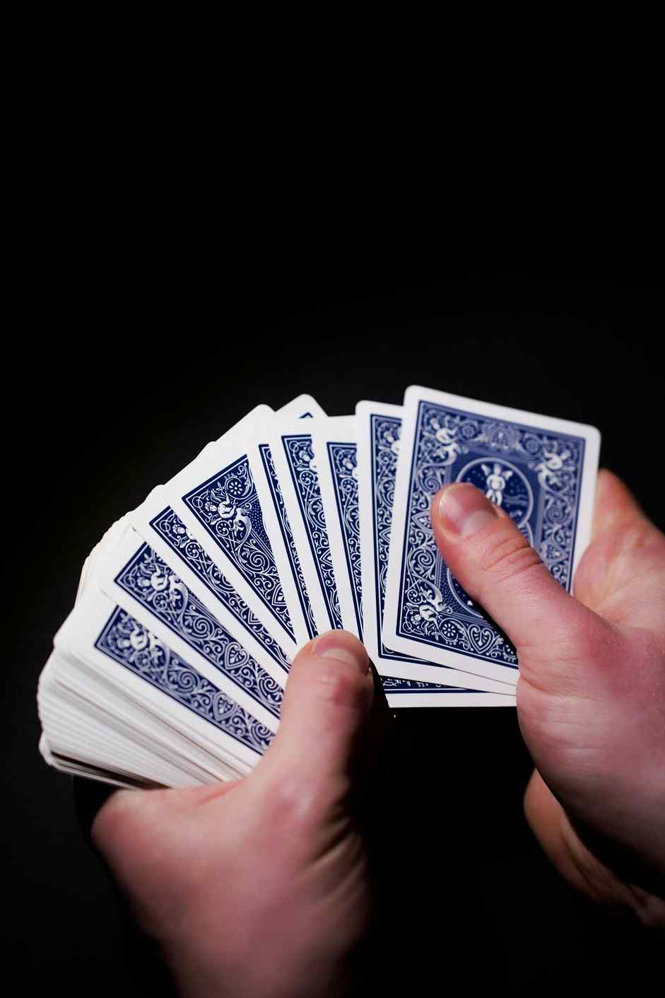 Spinsy casino Spinsy casino